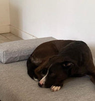 Portrait 1 of Rosario Frenkel