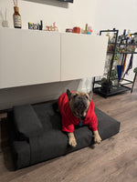 Portrait 2 of Jhon Barrios